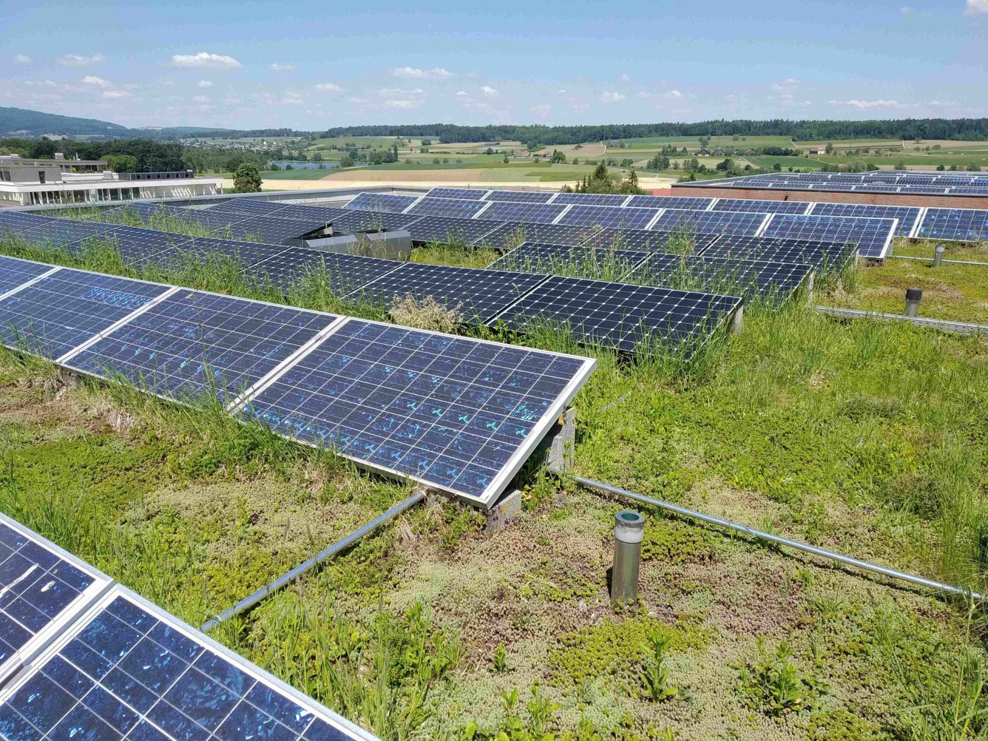 Tage der Sonne: Solarenergie bei der ABZ